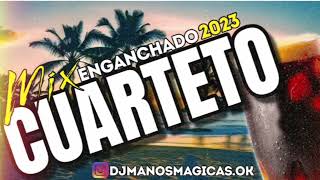 CUARTETO Mix Enganchado 2023 DJ MANOS MAGICAS [upl. by Thirzia35]