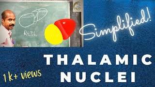 Thalamic Nuclei  Orientation  Air Anatomy [upl. by Dorkus]