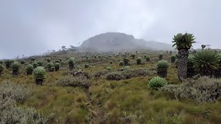 Table Mountain Aberdares Double Challenge [upl. by Mirielle588]