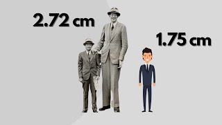 Height COMPARISON Tallest people in the WORLD [upl. by Gayelord909]