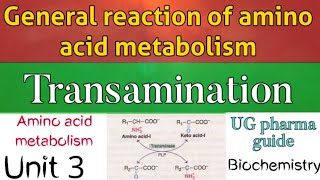 Transamination  general reactions of amino acid metabolism  Biochemistry [upl. by Larok779]