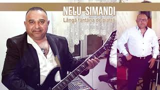 Nelu Simandi  Langa fantana de piatra [upl. by Hyams]