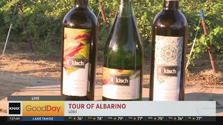 Tour of Albarino [upl. by Poree]