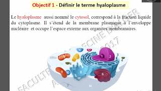 Hyaloplasme 1 [upl. by Tlaw]