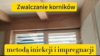 KRISOFF zwalczanie korników w drewnie  spuszczel pospolity zwalczanie [upl. by Tadio]