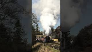 Single Chimney 9F 92134 departs Goathland with the mixed goods on the NYMR train steam [upl. by Dallas374]