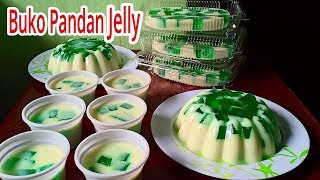 Buko Pandan Jelly  Buko Pandan Gulaman [upl. by Beutler395]