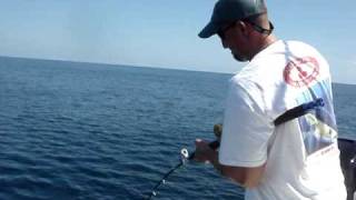 Amberjack fishing off Miami FL [upl. by Gaile]