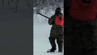 Chasse au lagopède dans le grand nord Partie 1 chasseur pêche fusils animaux nature conseil [upl. by Sabah]