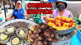 Comida EXOTICA CALLEJERA en Ecuador 🐌🪲🍴  Josue y Elie [upl. by Samella]