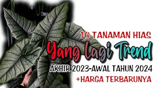 10 Tanaman Hias Mahal Paling Dicari di Awal Tahun 2024 [upl. by Ahsieyk]