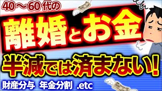 【いい夫婦の日】お金の目途が離婚の目途！40･50･60代離婚の損得！婚姻費用･財産分与･養育費･年金分割【熟年離婚したい･しました慰謝料税金･厚生年金請求期限･弁護士･危機岡野あつこ】 [upl. by Bear866]