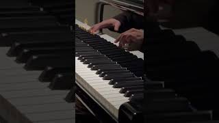 Chopin’s newly discovered waltz with experimental ornaments Bechstein A175 chopinwaltz [upl. by Derag40]