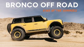 Ford Bronco Long Travel Off Road  King of the Hammer 2024 [upl. by Harrod536]