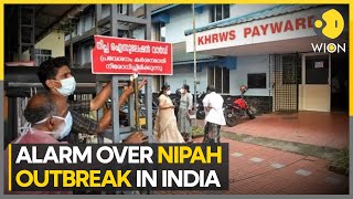 Why Nipah Virus Keeps Returning To Kerala Symptoms Precautions All You Need To Know  In Focus [upl. by Otto262]