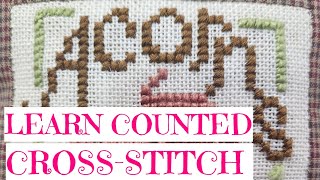 Flosstube 3 Learn Counted CrossStitch 20824 [upl. by Glassman]