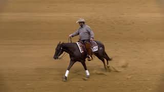 2020 Appaloosa Reining Horse Association Non Pro Reining Futurity [upl. by Dabbs]