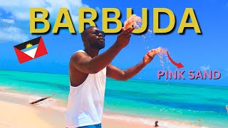 BARBUDA a hidden PARADISE in the CARIBBEAN  ANTIGUA amp BARBUDA [upl. by Gothurd]