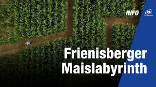 Frienisberger Maislabyrinth [upl. by Medardas407]