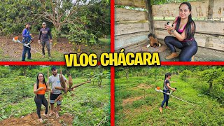 Cuidando da nossa CHÁCARA Dia de roçar a CHÁCARA🍃🥳 [upl. by Grady784]