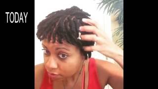 Instant Dreadlocks  How to loc your hair in minutes with a crochet needle  tutorial [upl. by Hu222]