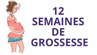 12 SEMAINES DE GROSSESSE OU Douzième semaine de grossesse [upl. by Grayce]