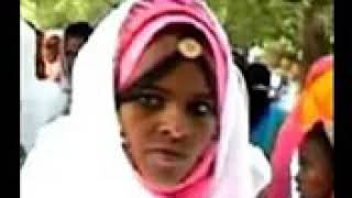 Eritrean bilen music Mahamed Afa Wo fiyor milmli [upl. by Heathcote]