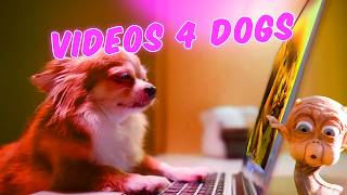 Internet Comment Etiquette quotVideos for Dogsquot [upl. by Kovacev]