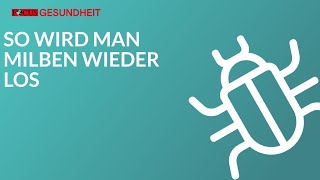 So wird man Milben wieder los [upl. by Seedman]