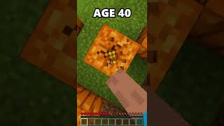 Minecraft Bases at Different Ages🤯 [upl. by Trilbee]