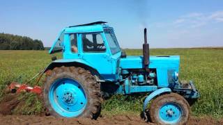 Belarus MTZ80 ploughing with Kverneland 3 furrow plow 2016 [upl. by Zollie]