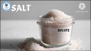 Topic Solvent Solute and Solution  Science  6th video viralvideo [upl. by Oneal954]