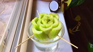 Watch Plants Grow Regrowing Celery Time Lapse [upl. by Annua]