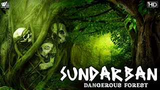 Dangerous Forest Named Sundar Sunderban  सुन्दर नाम का खतरनाक जंगल सुंदरबन  World Documentary HD [upl. by Davis]