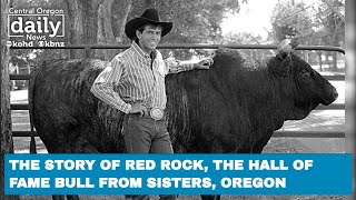 The story of Red Rock the Hall of Fame rodeo bull from Sisters Oregon [upl. by Azaria]