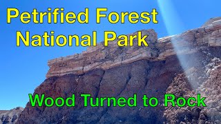 Petrified Forest National Park [upl. by Annaillil597]