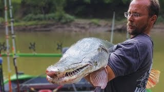 The TEXAS RIVER MONSTER  The ALLIGATOR GAR [upl. by Eneres481]