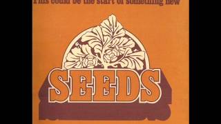 Seeds  Hey Hallelujah [upl. by Llebasi]