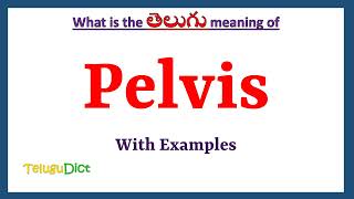 Pelvis Meaning in Telugu  Pelvis in Telugu  Pelvis in Telugu Dictionary [upl. by Elocn593]