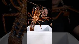 Big Lobster bayashi mukbang seafood food [upl. by Ramel617]