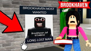 100 SECRETS in Roblox Brookhaven [upl. by Aiselad]