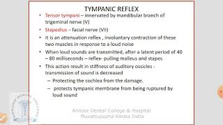 Tympanic Reflex [upl. by Javler]