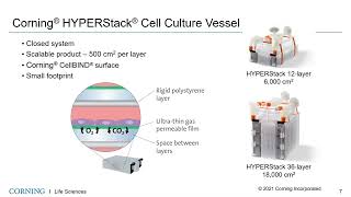 Tools for Simplifying MSC Expansion Cryopreservation and DMSO Removal [upl. by Nneb]