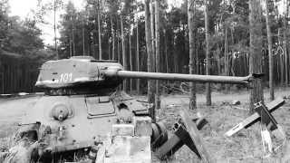 In the woods arround Berlin a WWII T34 tank wreck [upl. by Bremer898]