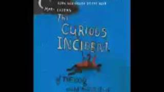 The Curious Incident of the Dog in the Night Audiobook Part 35 Mark Haddon [upl. by Terrej]