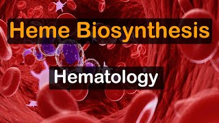 Heme Biosynthesis [upl. by Dmitri]