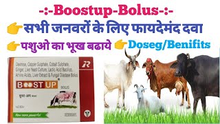 Boostup Bolus use in hindi जानवरों के लिए फायदेमंद दवा💊 medicine raj pharmacy viral benifits [upl. by Aliakim979]