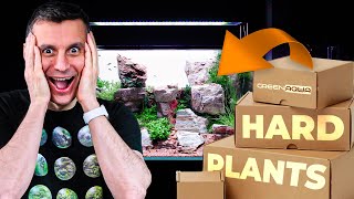 Aquascaping with HardtoKeep Plants Ultimate Survival Guide [upl. by Ilrebmik220]