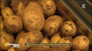 Agriculture urbaine  le choix bio de Louviers  La Quotidienne la suite [upl. by Jobi]