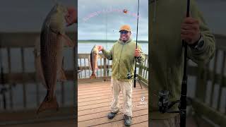 crabbing fishing nature fishspecies crabbers COMMENT  LIKE SHARE amp SUBSCRIBE THANK YOU [upl. by Millur718]